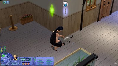 Sims 2 Механики